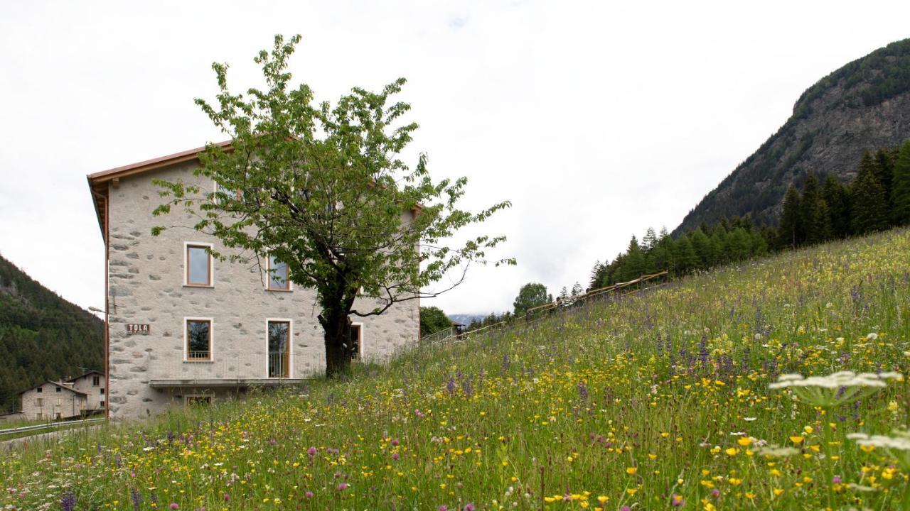 Italianway - Villa Tola Valdisotto Buitenkant foto